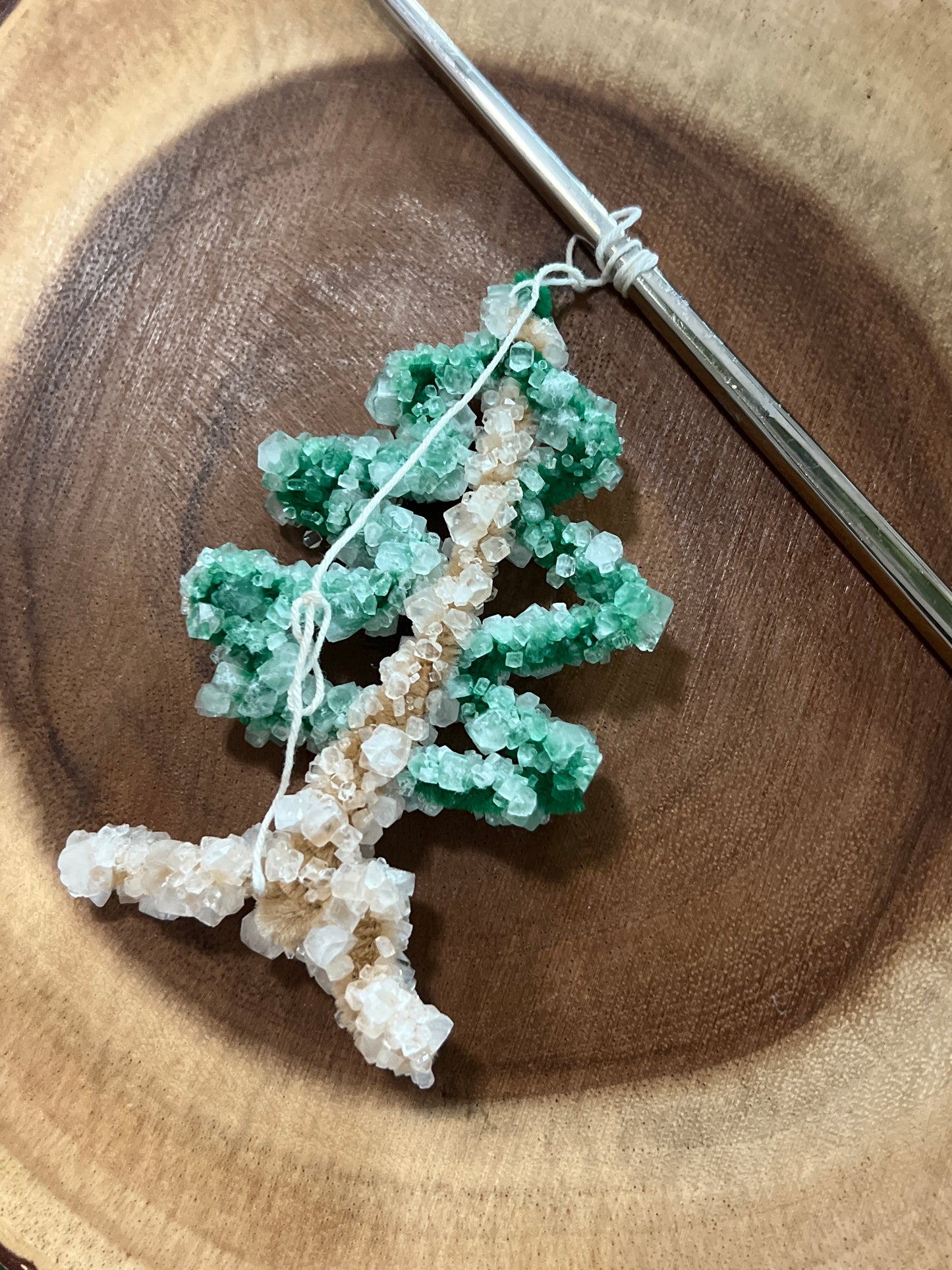 Crystal growing kit - Borax Crystal kit - science exploration - lesson plan - Art & Science fun - Homeschool - craft project